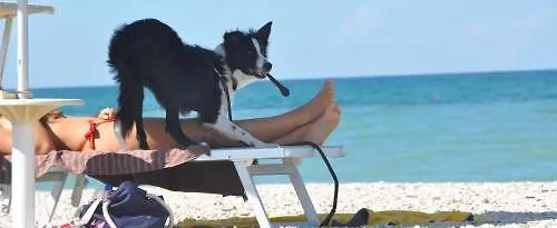 Ancore 3* Senigallia